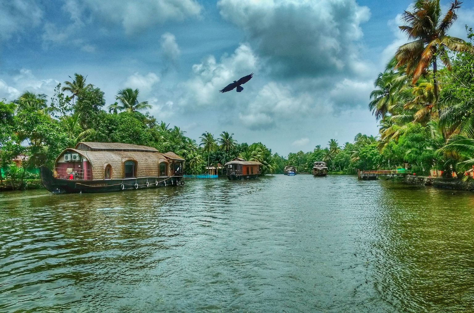 Kerala Ayurveda Backwaters Tour