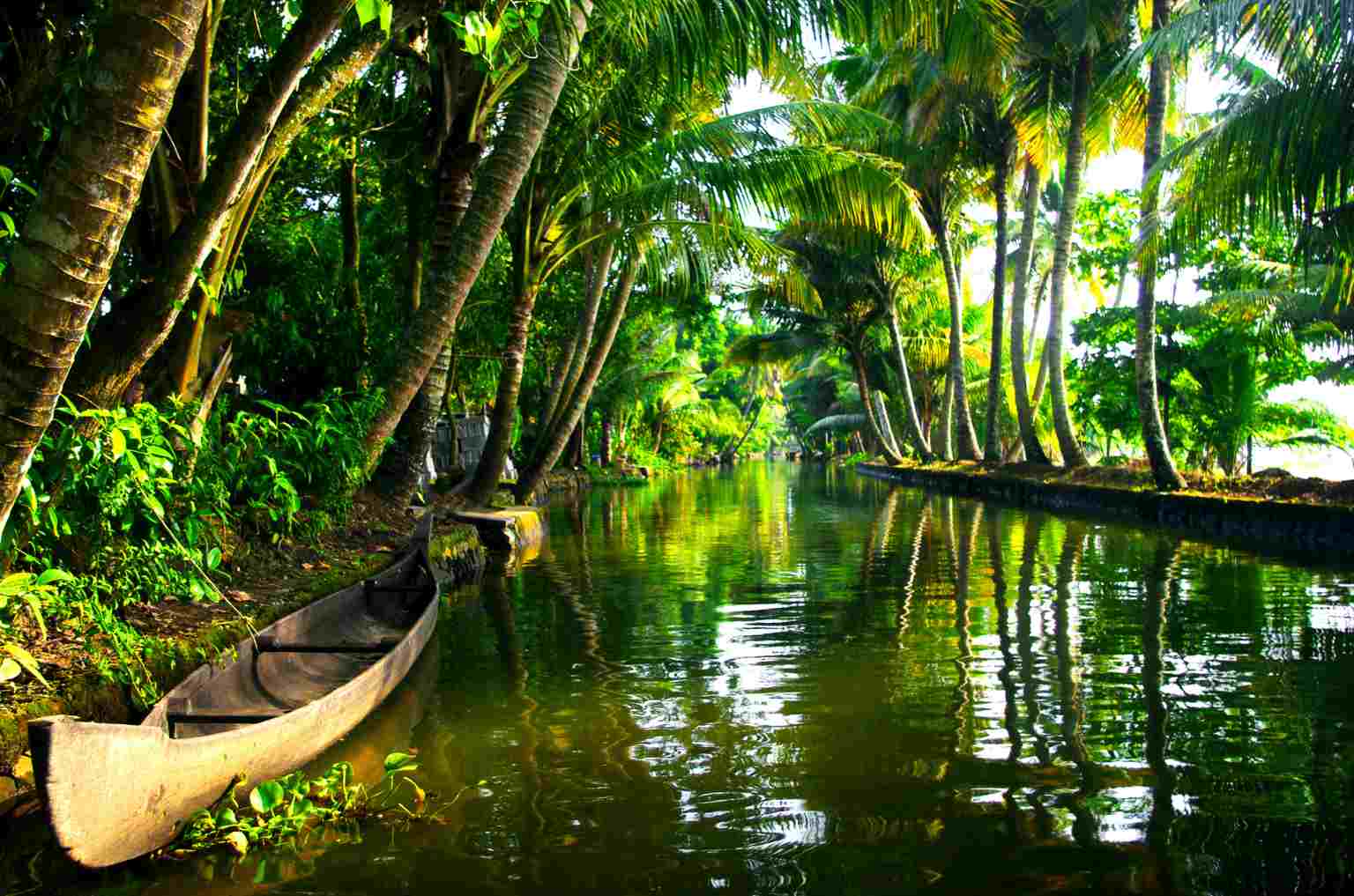 Tapestry of Culture, Nature, And Wonder