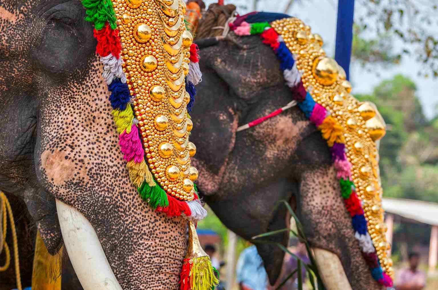The Significance Of Onam