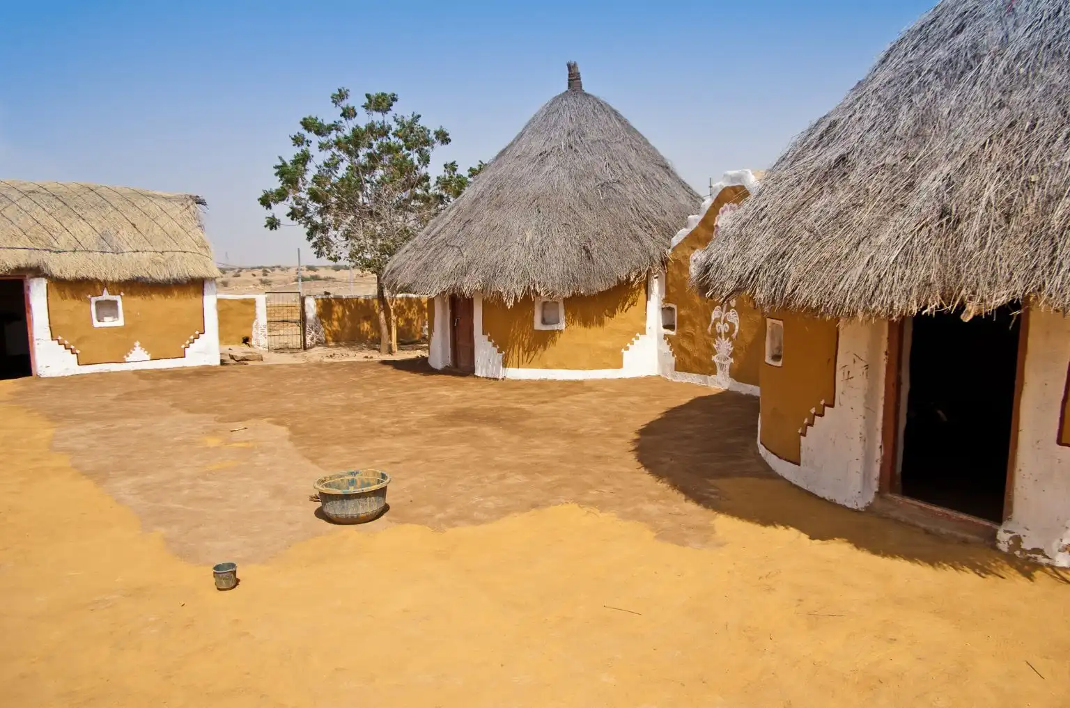 Why Bishnoi Village Safari Still Leads The Way