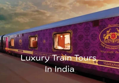 Luxury Train Tours In India