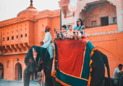 9 iconic forts and palaces on a classic rajasthan tour