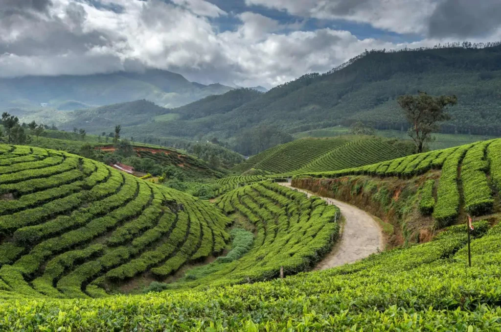 Understanding The Seasonal Rhythm Of South India