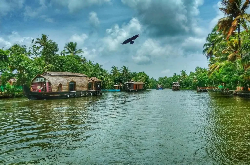 Kerala backwater travel during changing seasons with houseboats and lush scenery